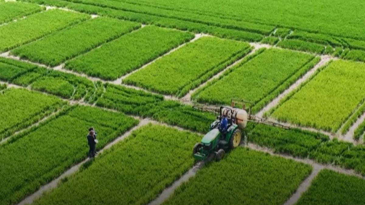 captura-de-ecran-2022-05-02-181521_04914500