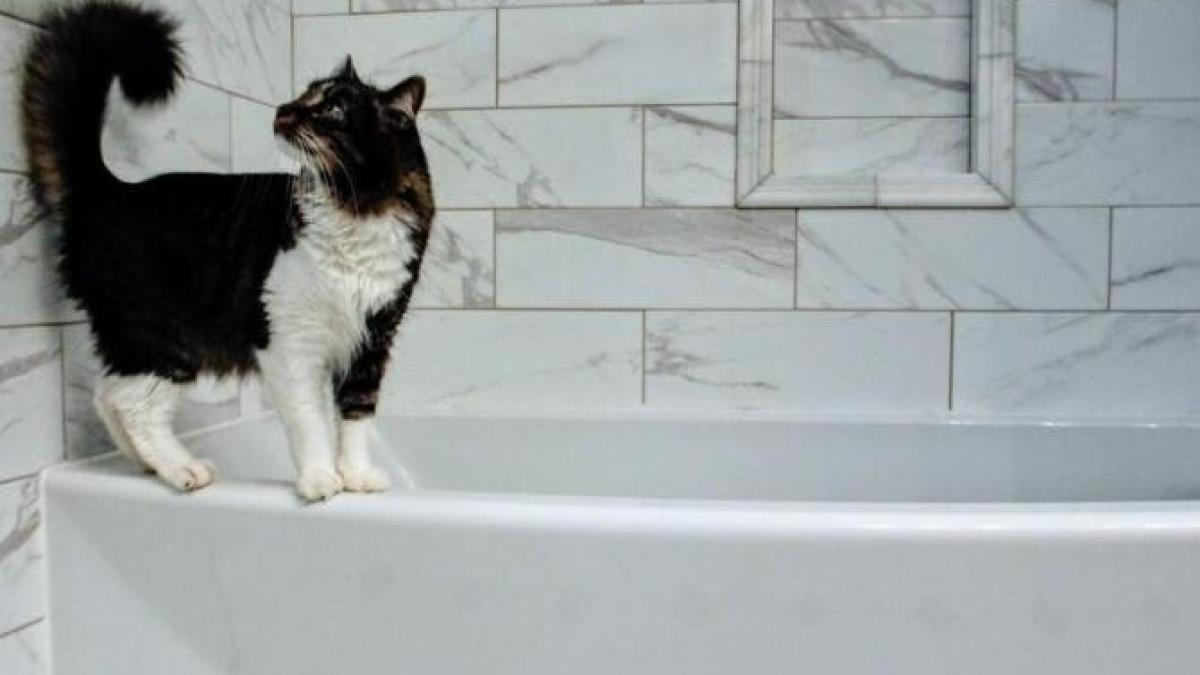 baie_foto_pexels_88223900