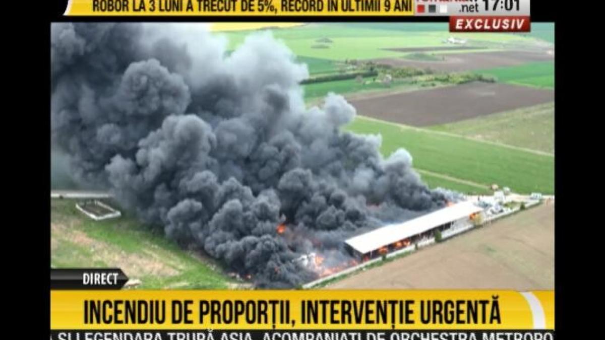 incendiu_deseuri_constanta_93326500