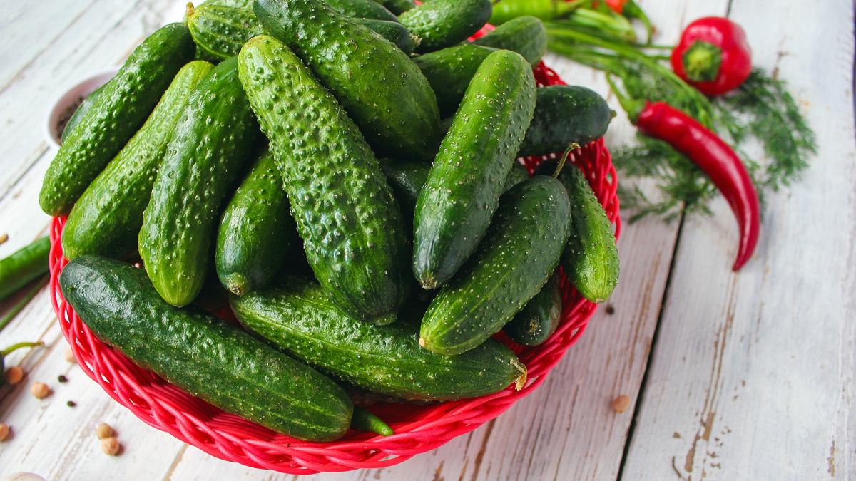 castraveti-cruzi_70422500