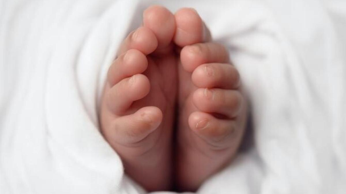 nonupleti-mali-aniversare_42953200