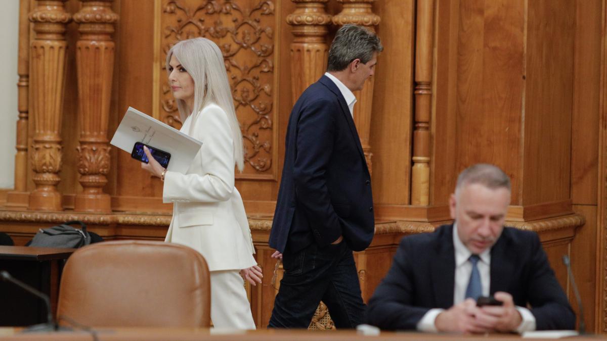 vicol-id194704_inquam_photos_george_calin_15759000