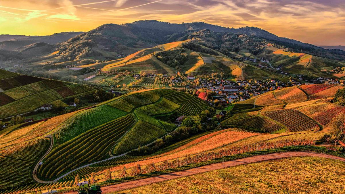 legatura-dintre-schimbarile-climatice-si-ceea-ce-mancam-intram-intr-un-deceniu-crucial_15264700