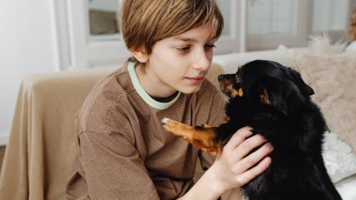 hepatita-misterioasa-copii-paracetamol_20384900