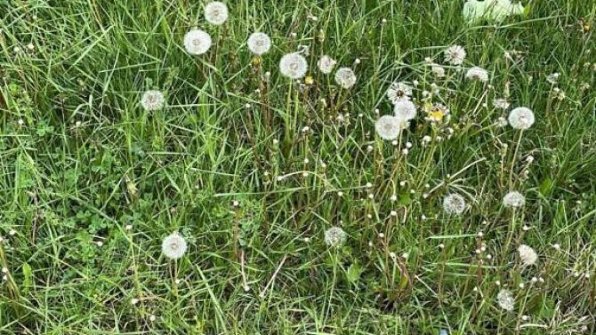 prognoza-meteo-9-mai---6-iunie-2022--meteo-pentru-urmatoarele-patru-saptamani_69786200