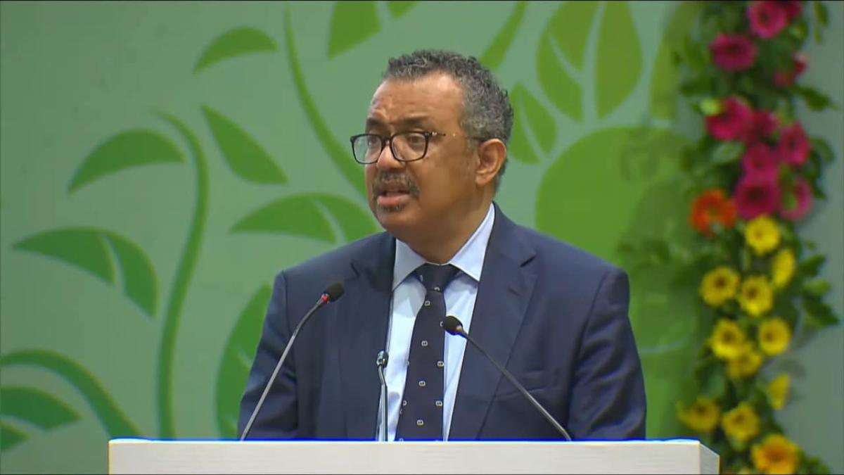 tedros-adhanom-ghebreyesus-vizita-irpin-ucraina_48667200