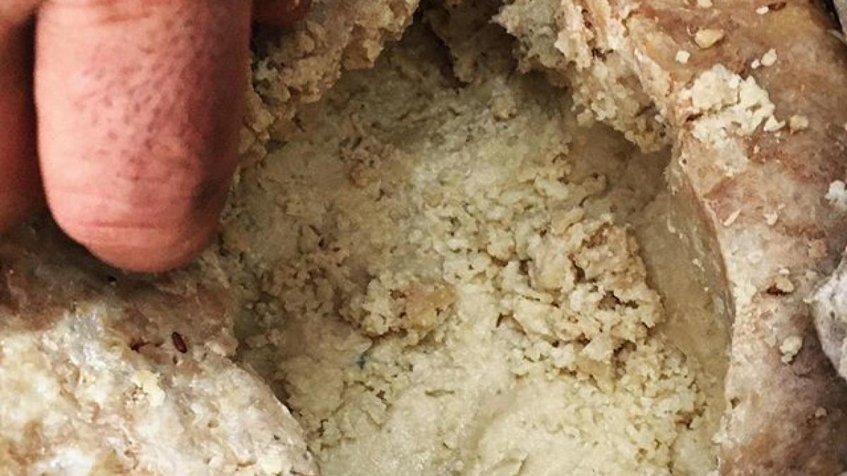 casu-marzu-bran-sardinia_81690900