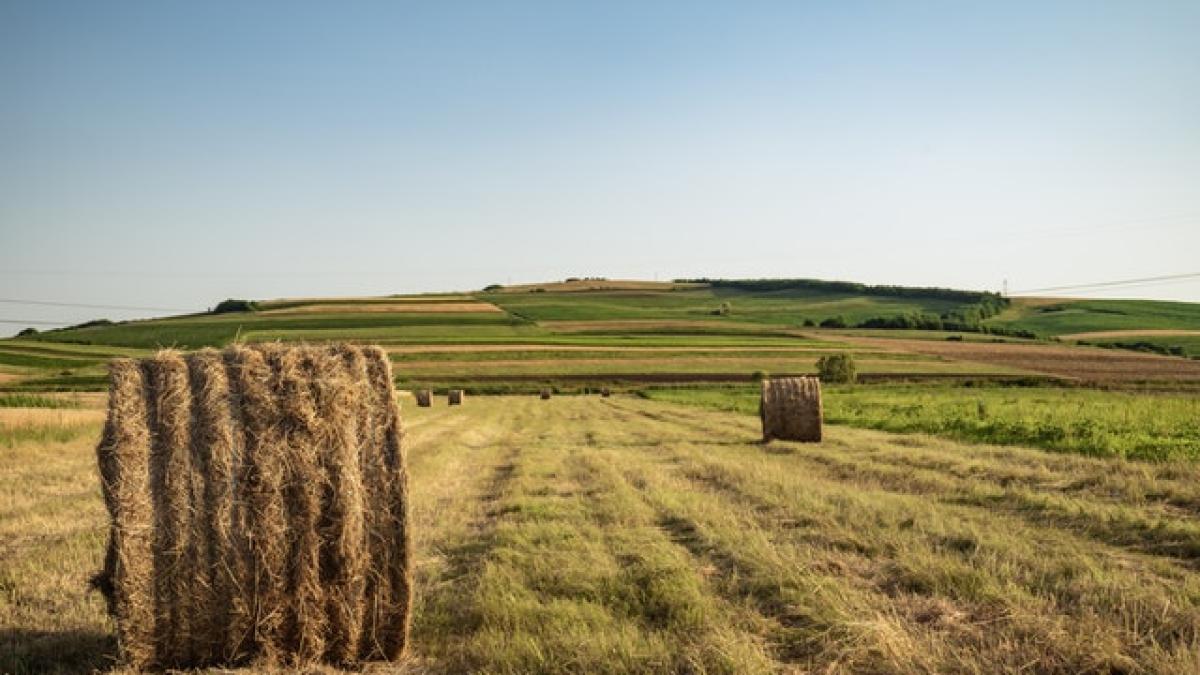 viata-la-sat-mutat-la-tara-7_14724800