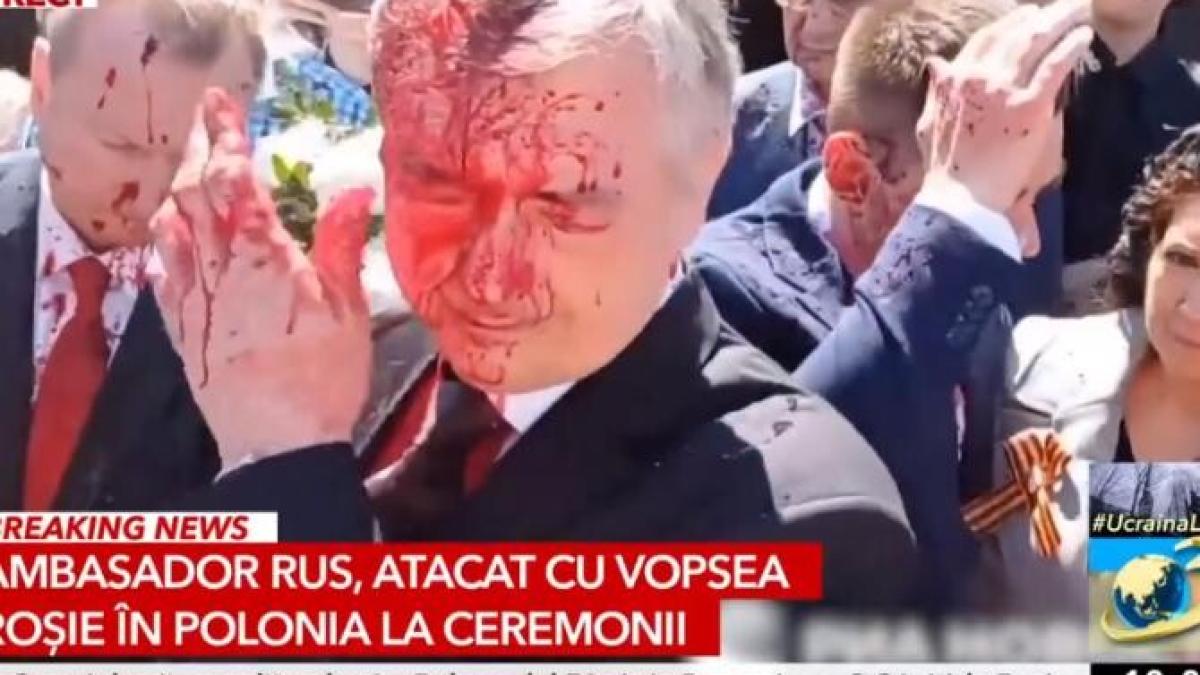 ambasador-vopsea-polonia_35215600