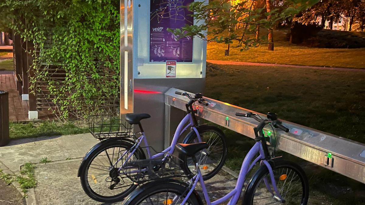 inchiriere_biciclete_timisoara_fb_65228100