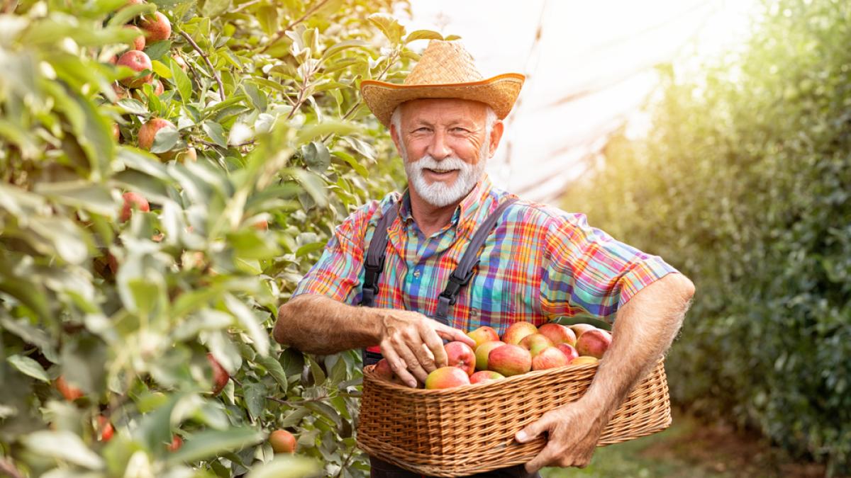 shutterstock_1811508565_43155300