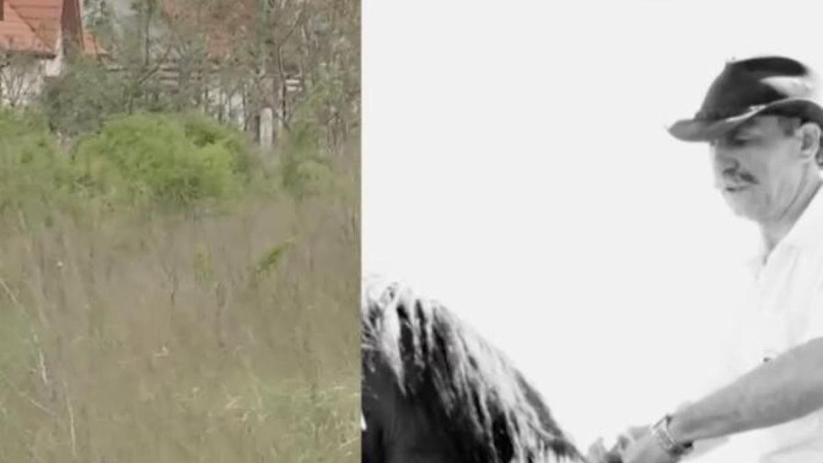 crima-masina-magurele_87514900