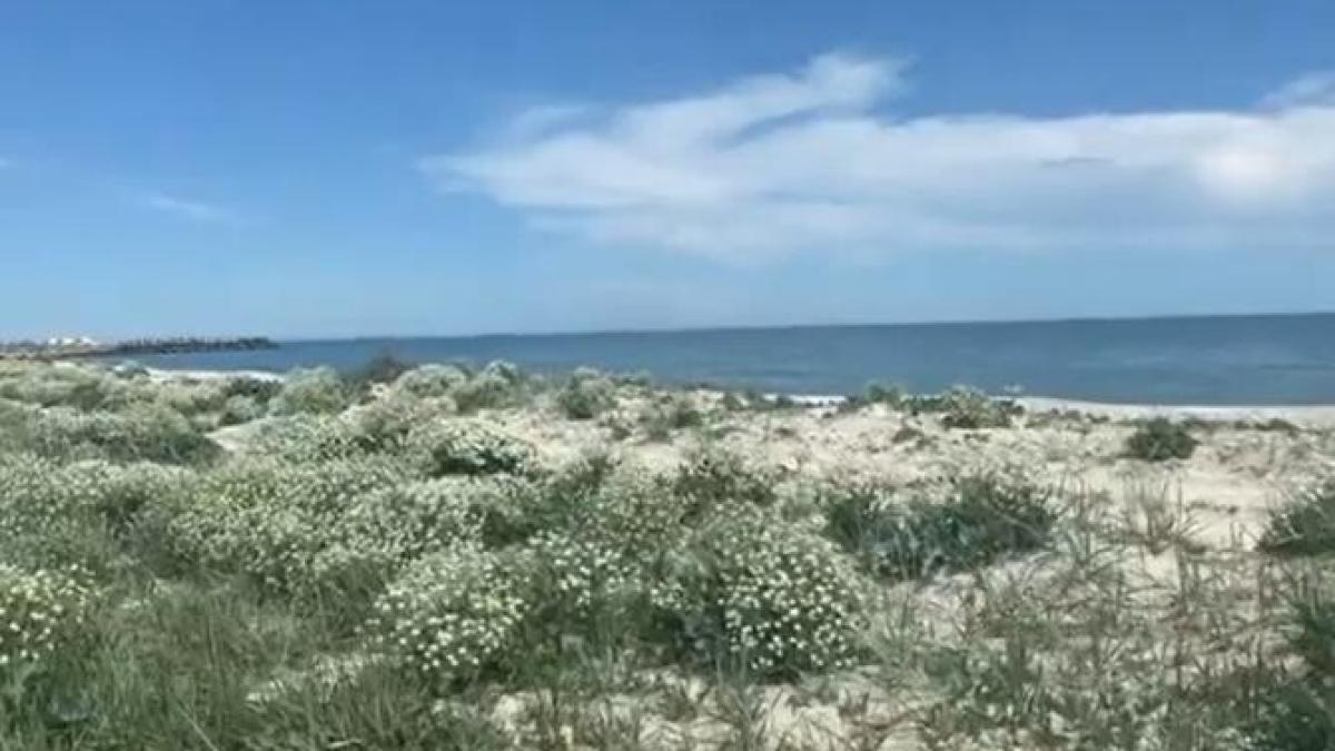 varza_mare_cpv_60857700