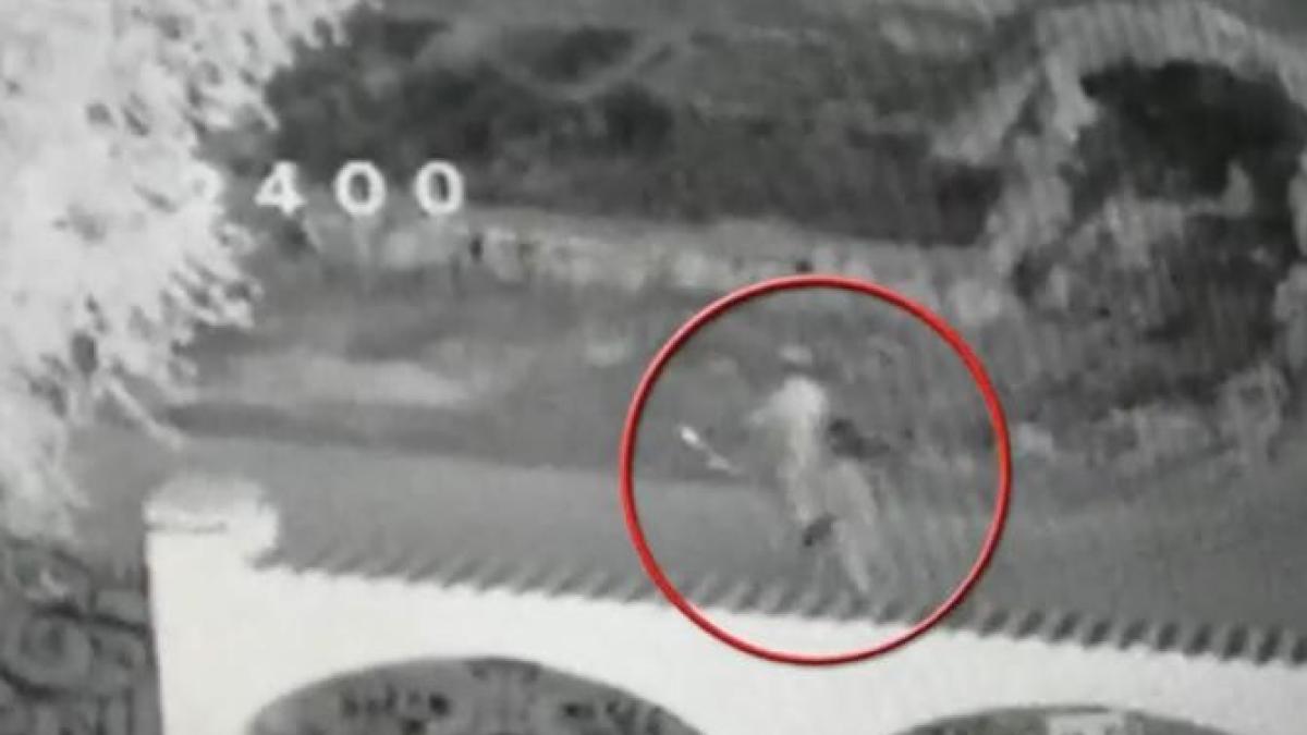 crima-magurele_39387100