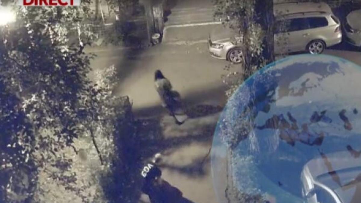 primele-imagini-cu-criminalii-din-magurele-in-timp-ce-carau-cadavrul-italianului-ucis-5_44147700