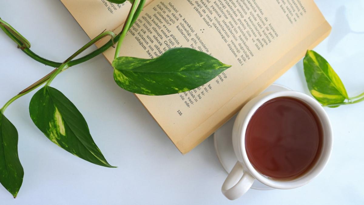 ceai-de-tei-beneficii_19494900