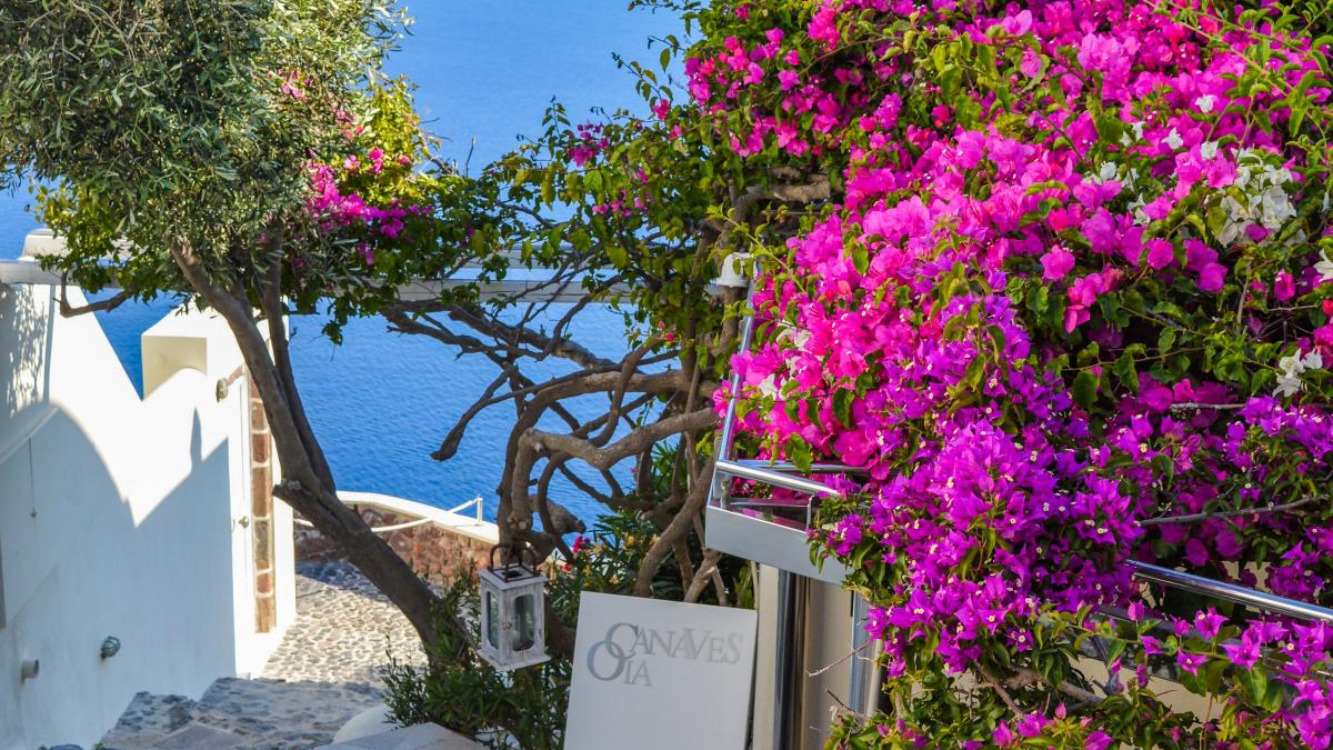 pexels-gotta-be-worth-it-1029021_08852400