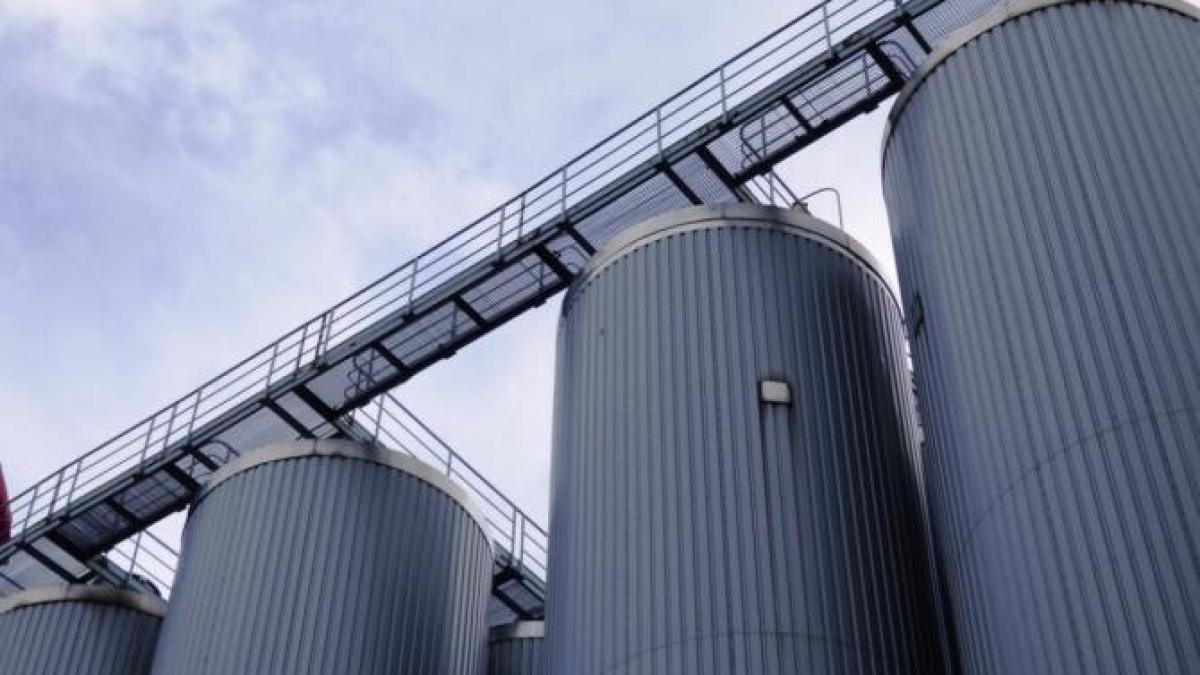 bulai--poveste-tare-despre-oameni-judecati-pentru-deturnare-de-fonduri-europene--prc-e2prc-80prc-9enu-intelegeau-ce-au-facut-rauprc-e2prc-80prc-9d_79837800