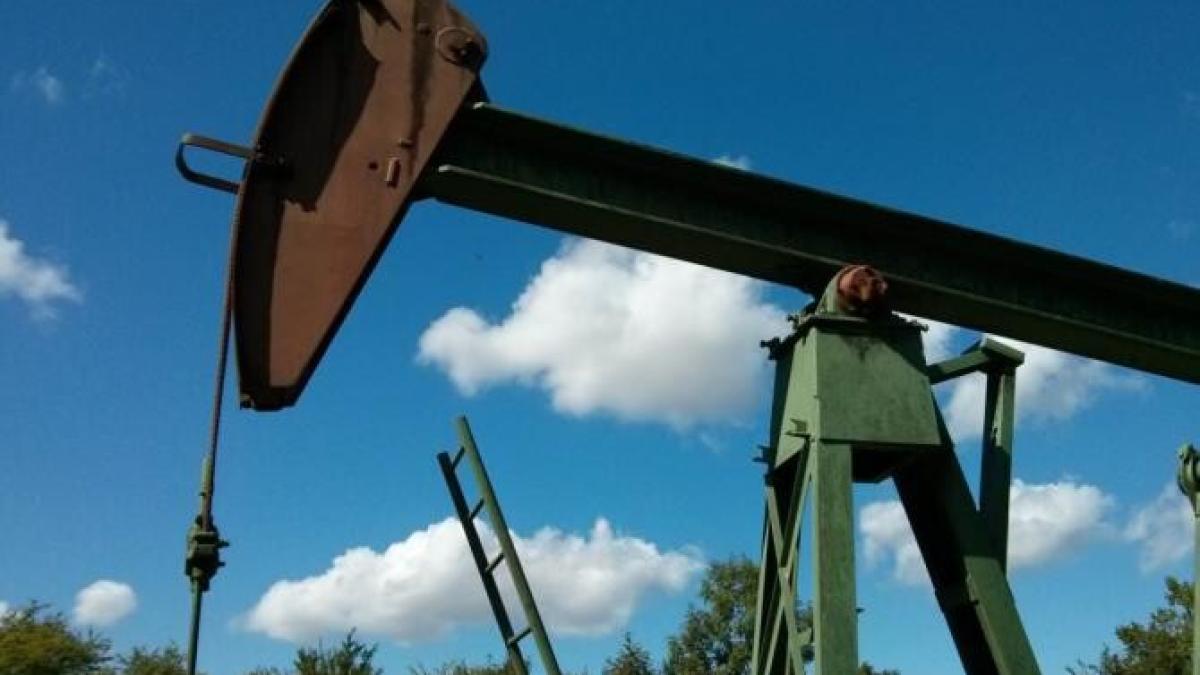 productia-de-titei-din-romania-a-scazut-comparativ-cu-anul-trecut_46795800