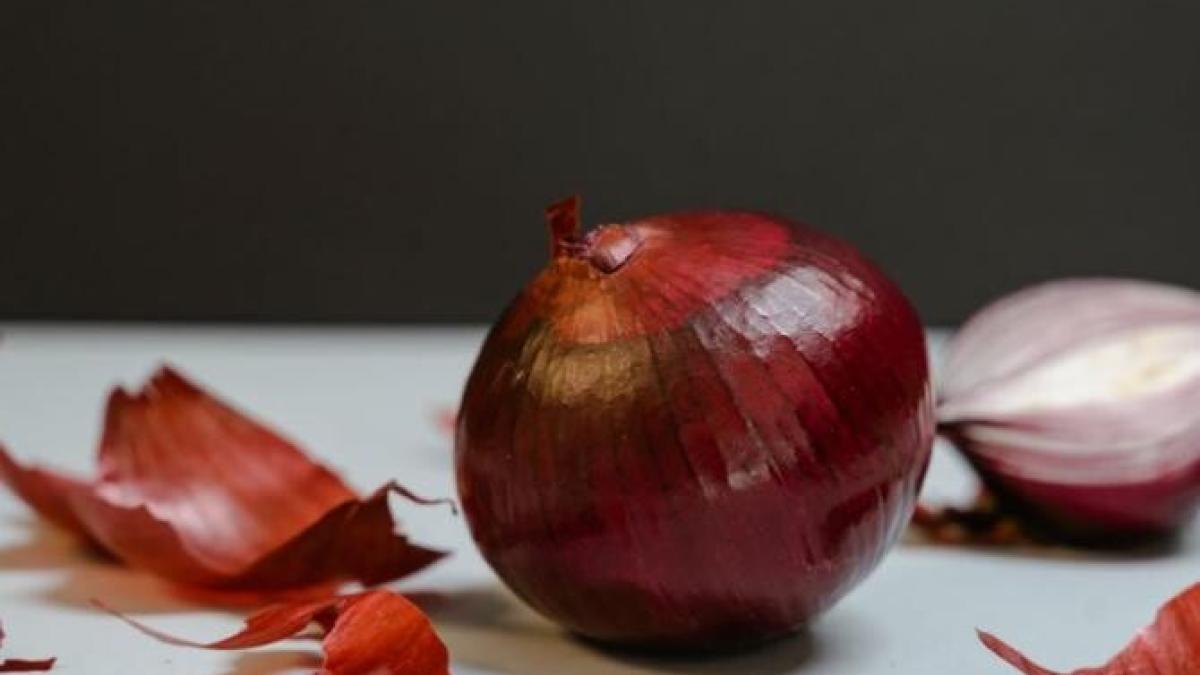 inca-nu-folosesti-inca-o-cutie-de-pantofi-in-bucatarie--un-truc-ingenios-de-care-nu-ai-stiut-pana-acum--foto---pexels_67864400