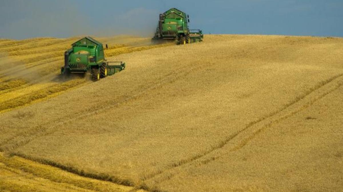 import-grau-china_87086200