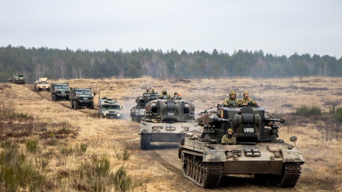 forte-tereste-romane-ciuca_69359400