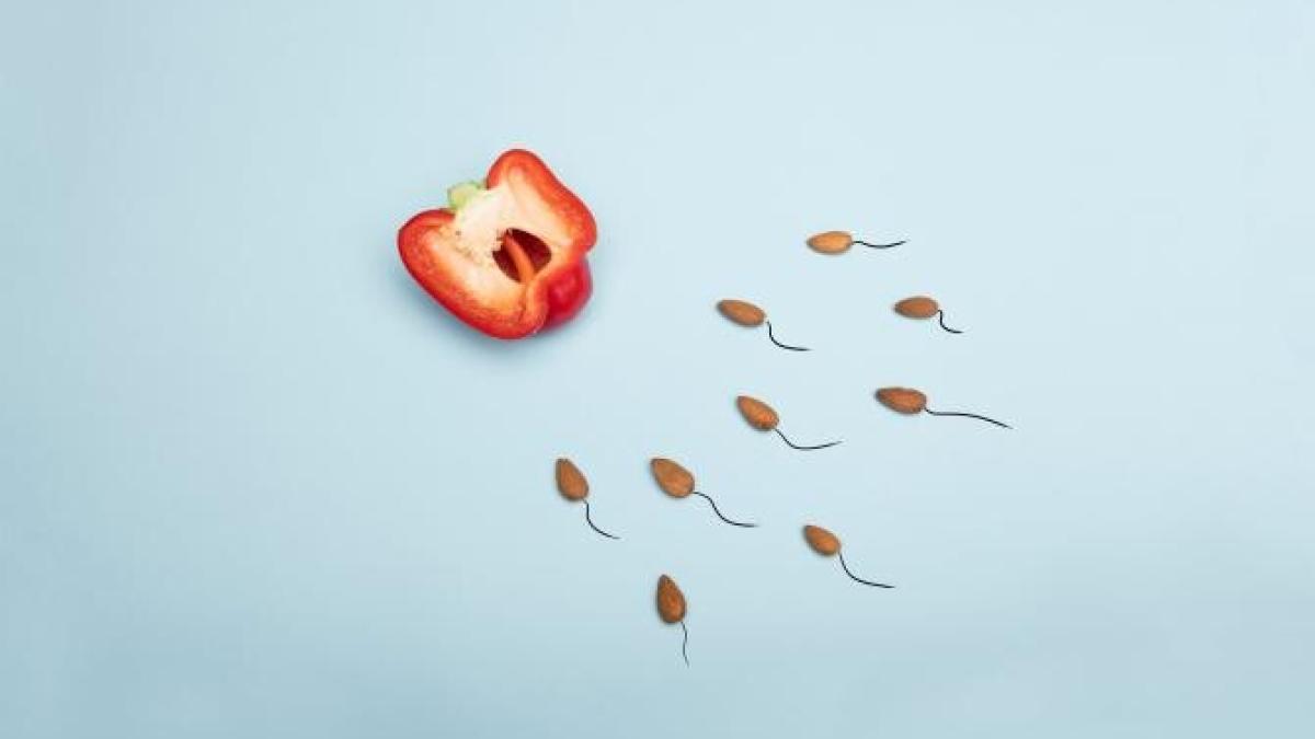 fertilizare-in-vitro_00132500