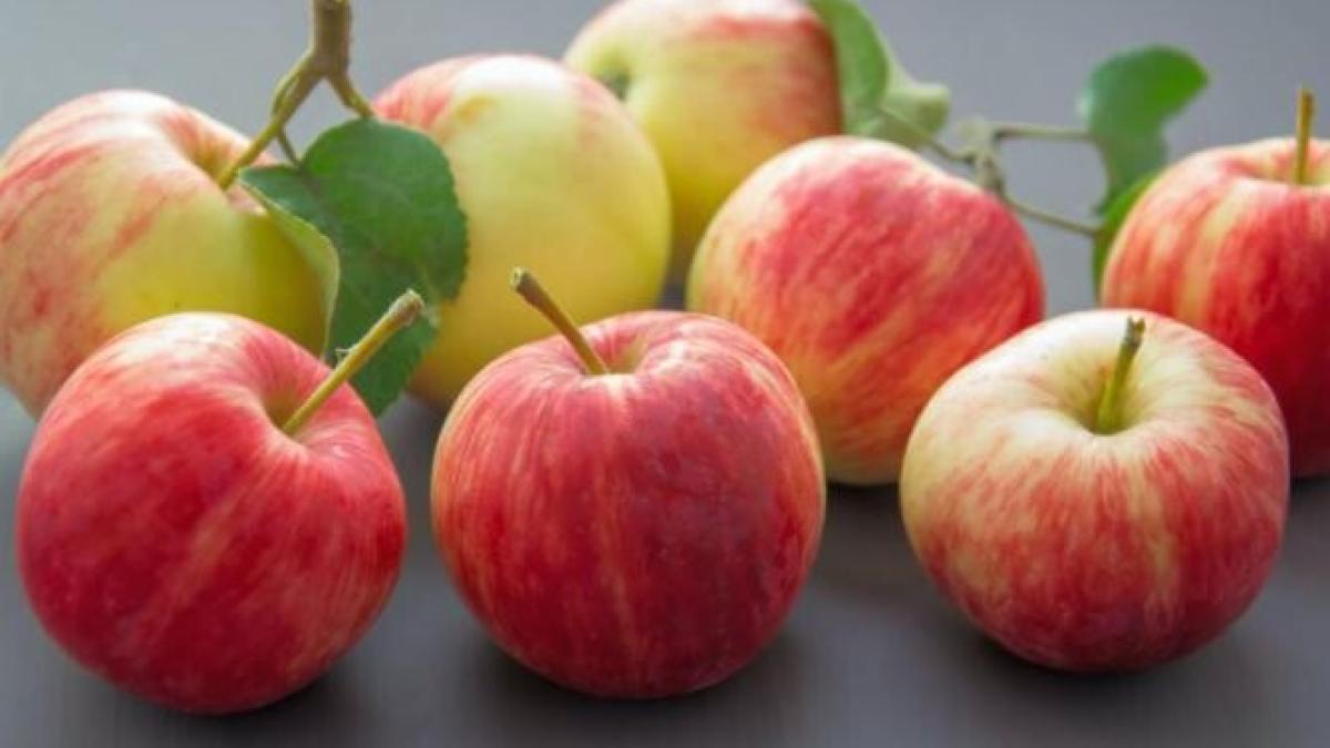 rulada-elvetiana-cu-mere---un-deliciu-culinar-rapid--delicios-si-usor-placinta-traditionala-ramane-amintire--sursa---pexels_36732200