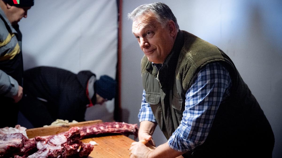 viktor-orban-deceniul-razboaielor_64119400