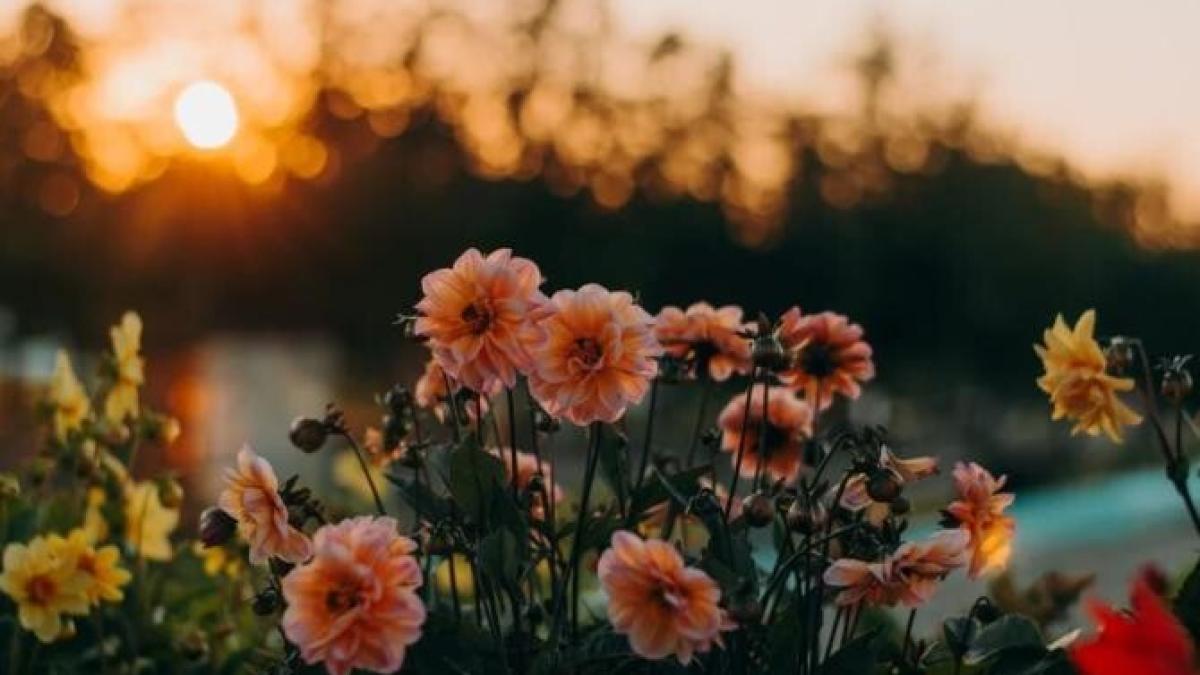 vreme_mai_foto_pexels_30341500