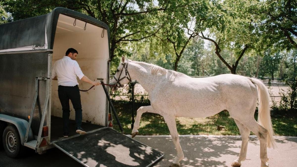 adrian_cozma_sarlatan_1_48215300