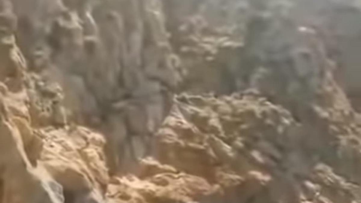 fotbalist-mort-stanca_03484100