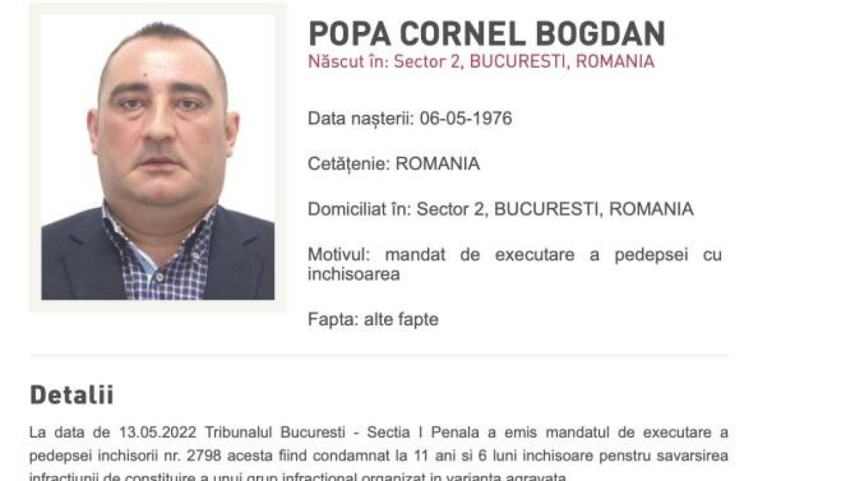 popa-bogdan_02716000