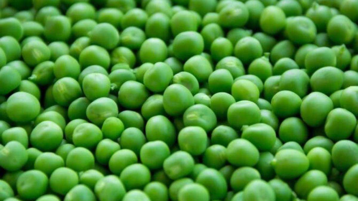 ai-o-punga-cu-mazare-congelata--poti-prepara-o-mancare-simpla--rapida-si-hranitoare--reteta-cu-care-nu-dai-gres_67478200