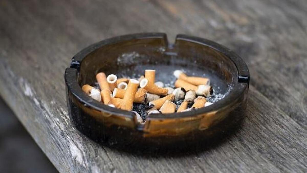 nu-mai-aruncati-mucurile-de-tigara---va-ajuta-sa-scapati-de-invazia-de-insecte-din-casa--sursa---pexels_50206000