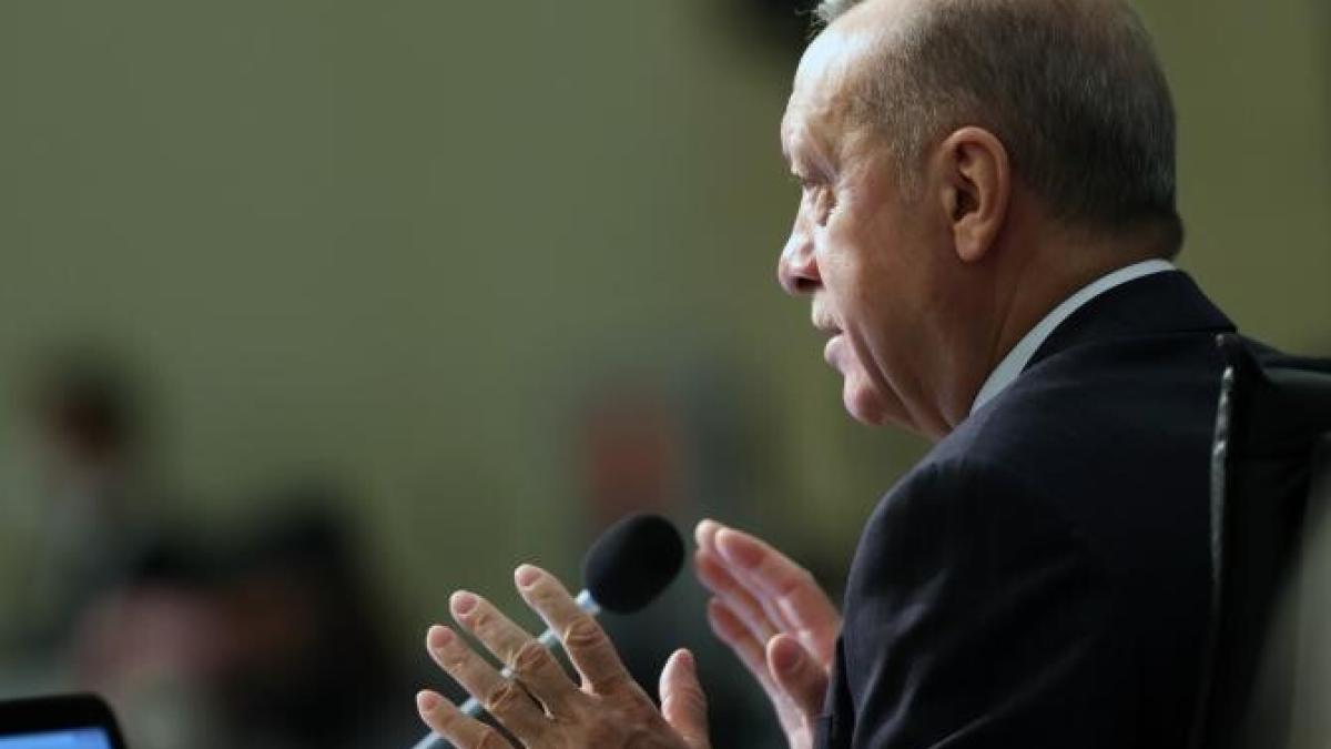 erdogan-strategie-rusia-ucraina_14785600