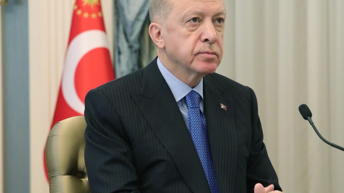 recep-tayyip-erdogan-zona-de-securitate-granita_38712100