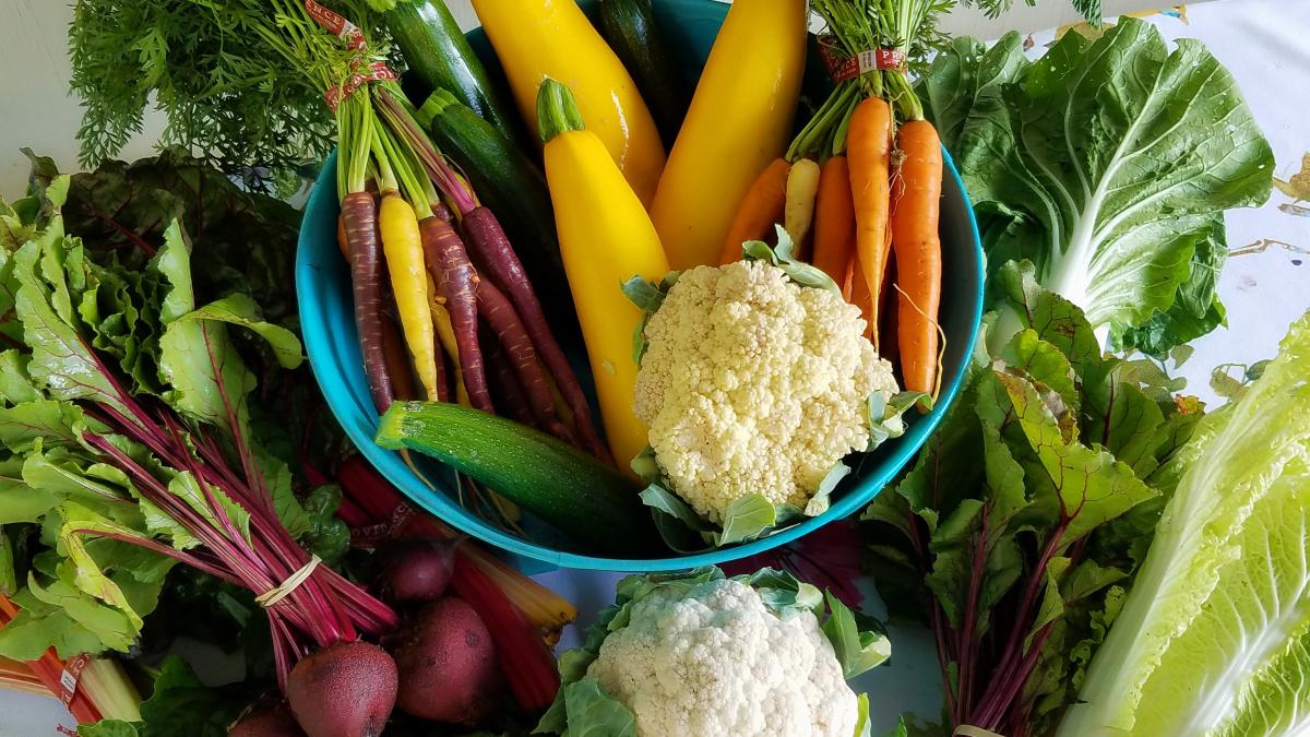 legume-pexels-solare-flares-2751755_16565900