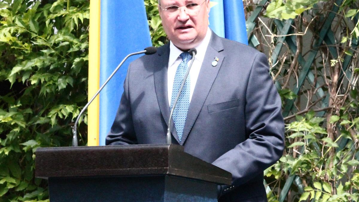 ciuca-stefanesti_21515300