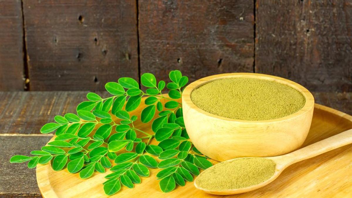 moringa-planta-minune-300-de-boli_05418600