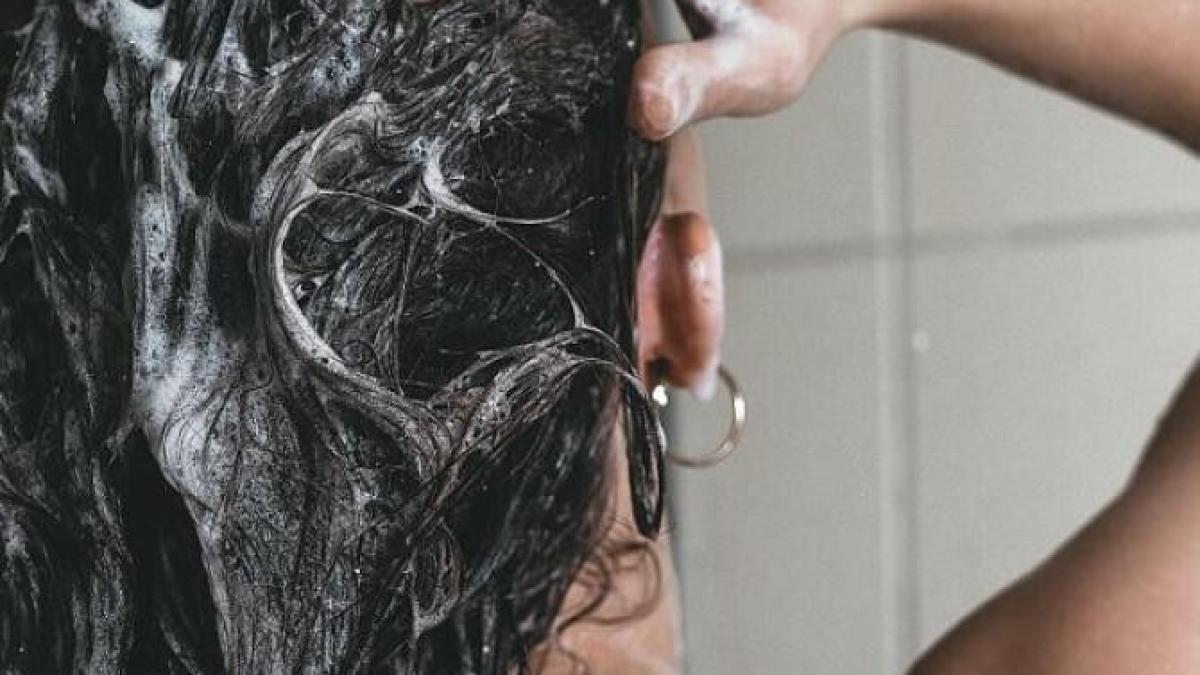 aplica-putin-balsam-pe-frunzele-plantelor-de-camera--un-rezultat-fantastic--dupa-cateva-zile_40858600