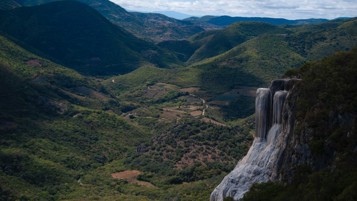descoperire-in-padurea-boliviana_94431600