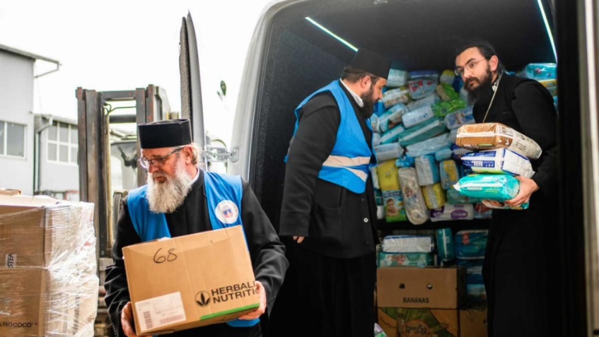 ajutoare-bor_84498300