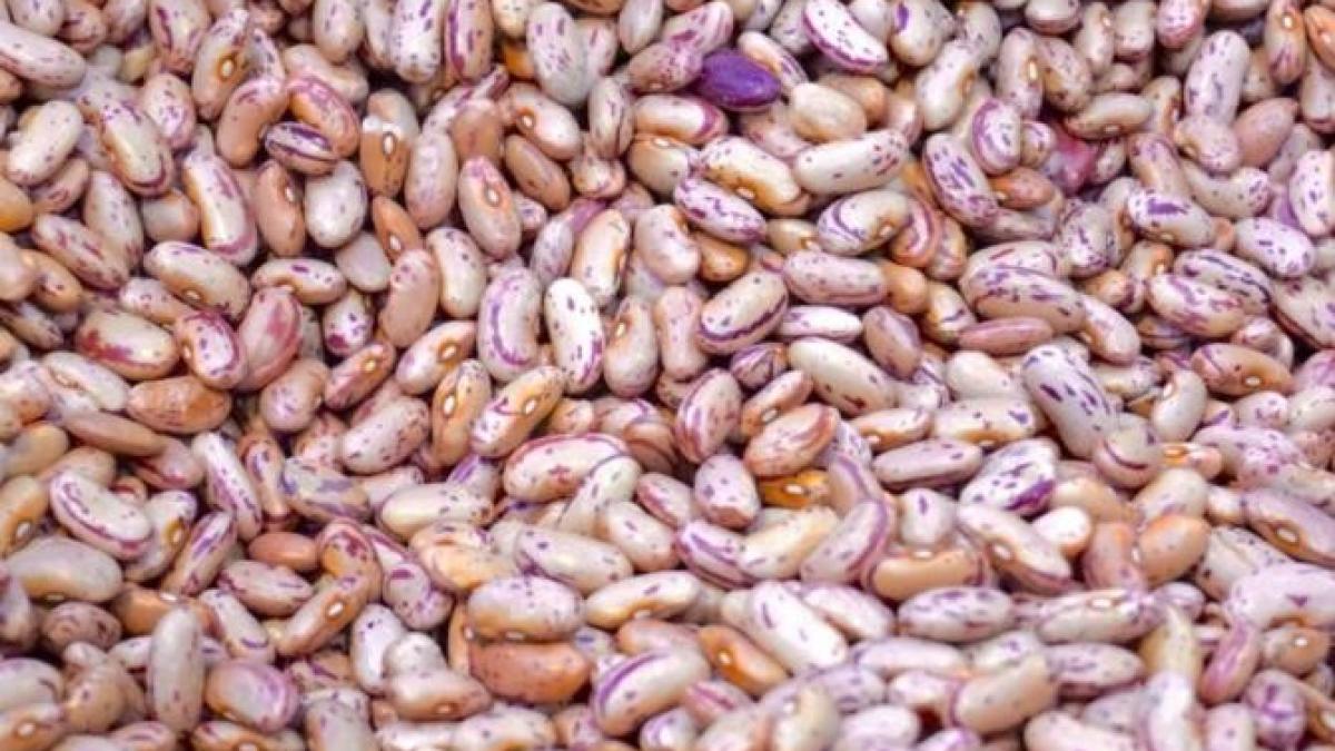 cum-sa-fierbi-fasolea-foarte-repede--incearca-acest-truc--dezvaluit-de-bucatarii-cu-experienta_40623300