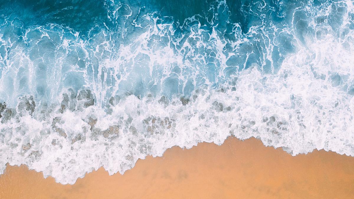 delta-isi-asteapta-turistii_48760000