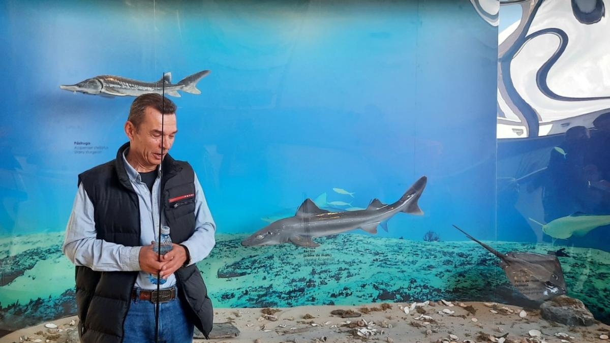 cel-mai-vechi-peste-de-pe-planeta_12695400