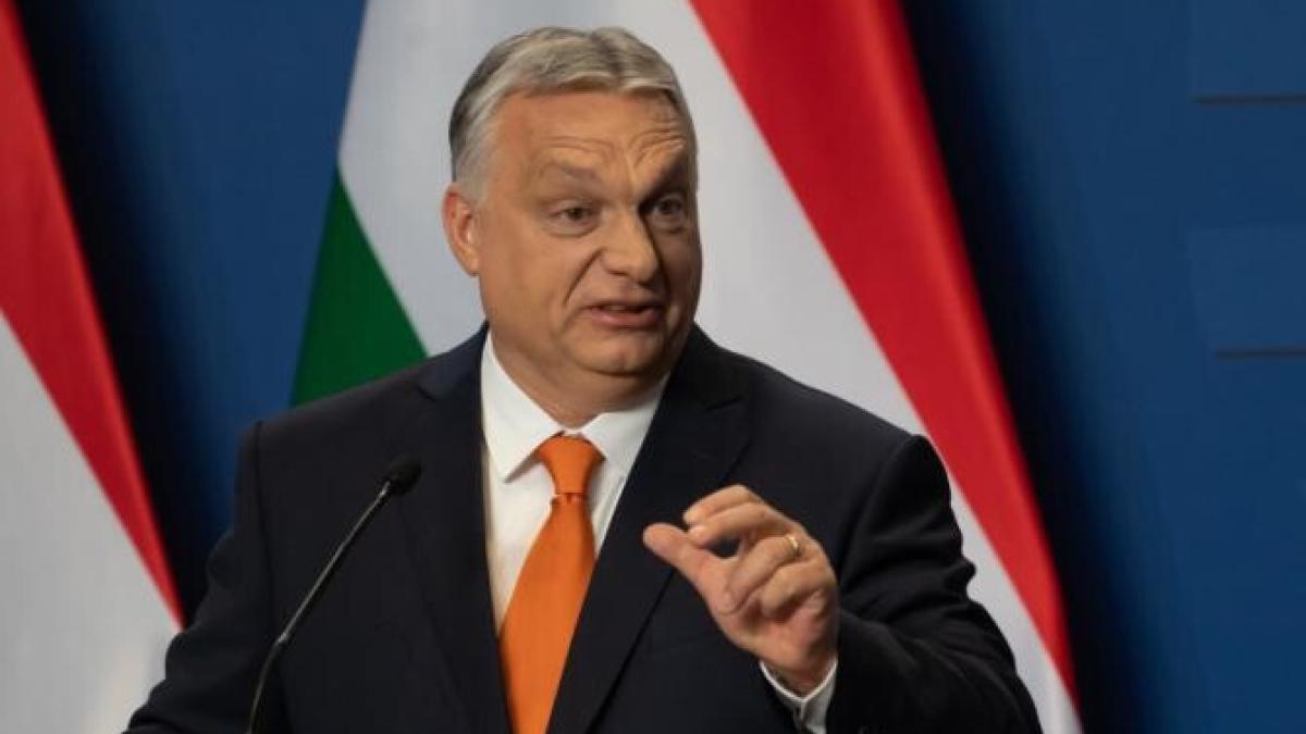 v-orban_81242500