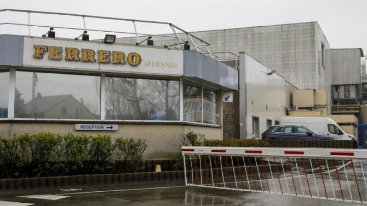 fabrica-arlo-belgia_24587500