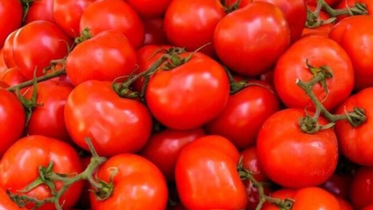 se-prelungeste-perioada-de-valorificare-a-productiilor-realizate-prin-prc-e2prc-80prc-9eprogramul-tomataprc-e2prc-80prc-9d--iata-pana-cand_00987100