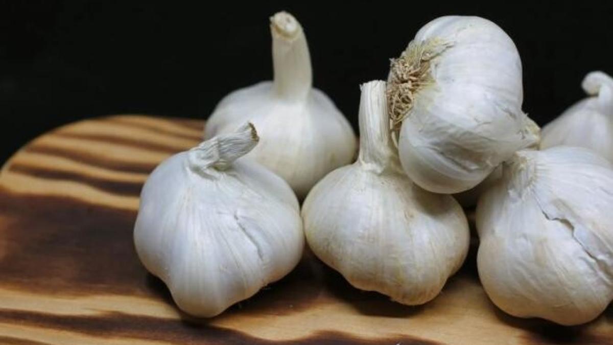 pune-usturoi-sub-perna--vei-fi-surprins-cand-vei-vedea-ce-se-intampla_46519900